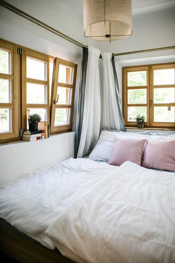 Apartment Aussee- Beletage Salzherrenhof- Kueche, Wlan, Netflix Bad Aussee Bagian luar foto