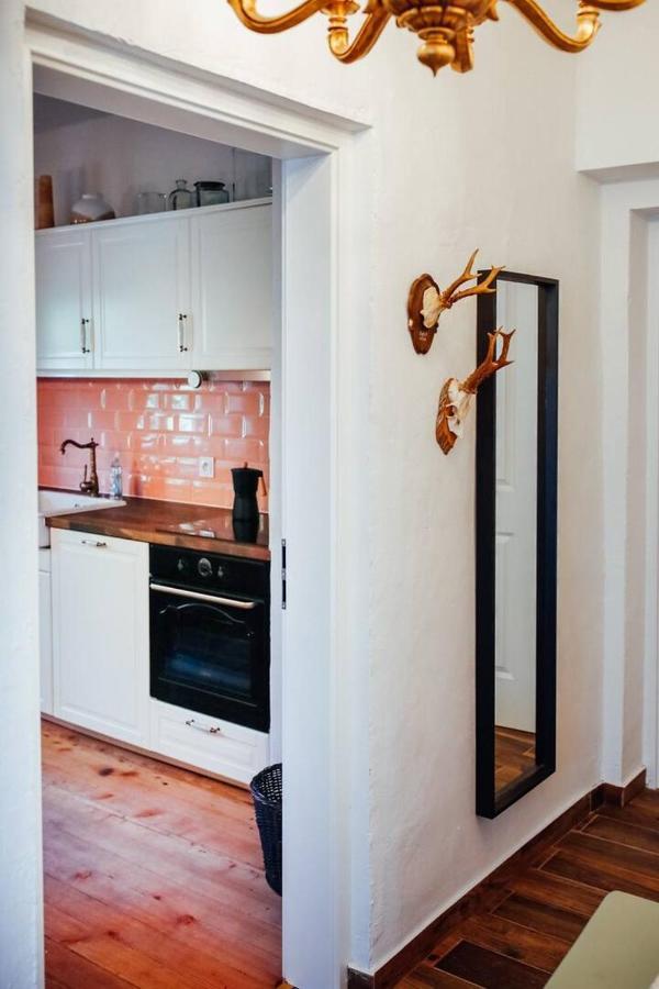 Apartment Aussee- Beletage Salzherrenhof- Kueche, Wlan, Netflix Bad Aussee Bagian luar foto